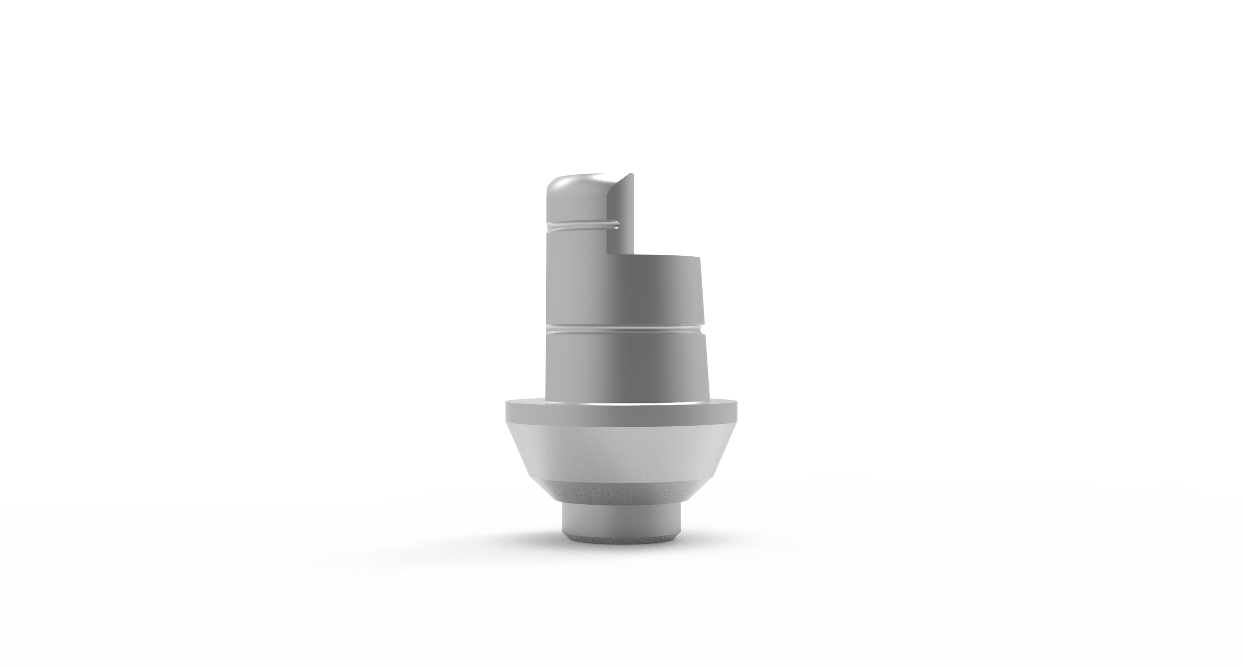 Rotational Ti-Base Cad/Cam For Implant + Screw – DBS - Dental Bio Solutions